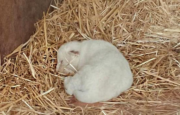 사진=문도파크 페이스북