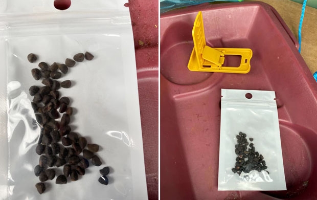 사진=버지니아주 농업소비자서비스국