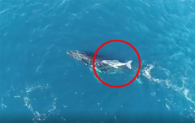 사진=셰인 스티븐 인스타그램