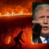 “트럼프 재선 성공, 전 세계에 위기 가져올 것…기후변화 때문”