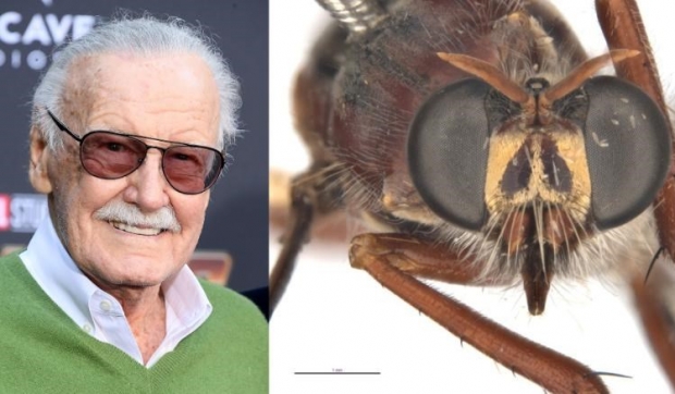 ‘스탠 리 파리’(학명·Daptolestes leei)