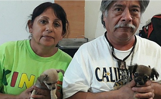 이 부부는 반려견 10마리가 이미 가족의 일부분이 됐다며, 다른 사람에게 팔거나 보내지 않고 끝까지 책임지겠다는 뜻을 밝혔다.