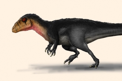 [다이노+] 포르투갈서 ‘최강 육식공룡의 조상뻘’ 신종공룡 발견