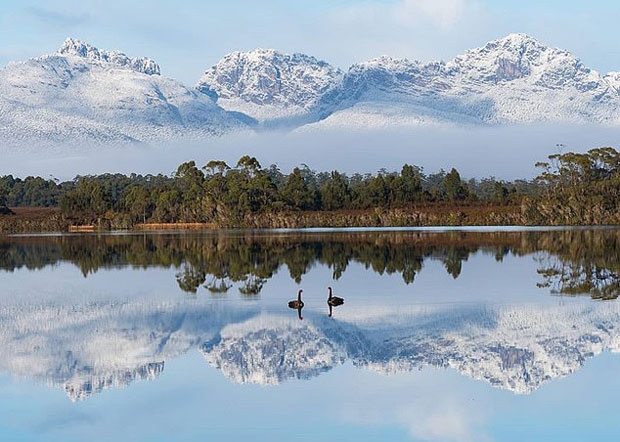 사진=태즈메이니아 주민 인스타그램(@chelmaybell)