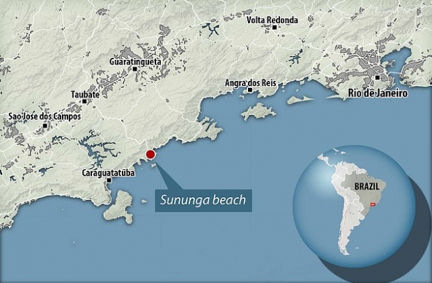 ‘일부다처제 개구리’ 토로파 타오포라의 서식지는 수눙가(Sununga) 해변에 있다.(사진=데일리메일)