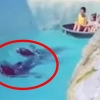 아이들 탄 보트 끄는 동물원 바다표범, 학대 논란(영상)