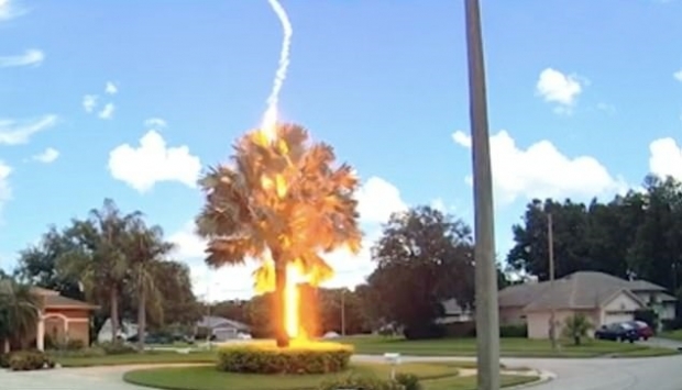 마른하늘에서 번개가 내리꽂히는 순간 포착(동영상 캡쳐)