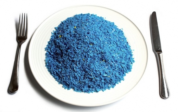 사람이 1년간 섭취하는 미세플라스틱의 양 250g을 표현한 사진(사진=로이터)