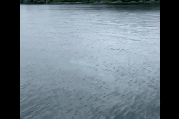 출처=스테파니 헤이즈 인스타그램