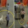 [여기는 중국] 대형견 목줄에 걸려 넘어진 80대 노인 사망