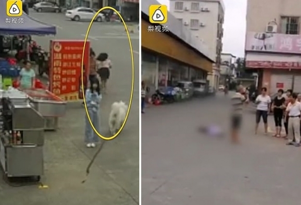 사진 왼쪽은 대형견의 리드줄에 걸려 할머니가 넘어지는 사고가 발생했음에도 개를 데리고 나온 소녀(검은색 치마)가 현장을 유유히 벗어나는 모습, 오른쪽은 사고 발생 직후 쓰러진 할머니 주위에 서 있는 주민들