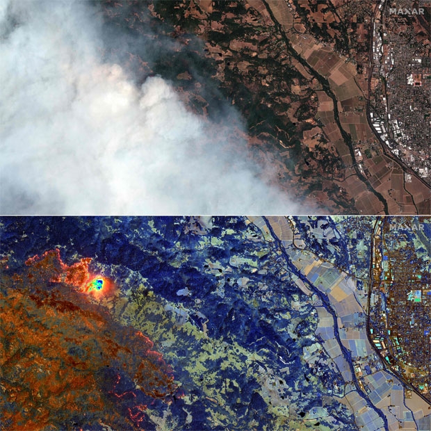 리포니아주 대형 산불군(群) 가운데 가장 피해가 심각한 소노마 카운티 힐즈버그 지역의 ‘LNU 번개 복합 파이어’ 위성 사진./막사르 테크놀로지 AFP