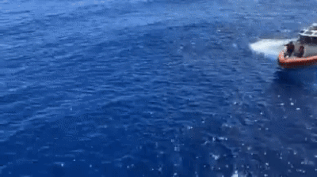 미국해얀경비대 소속 쾌속정 킴볼호(USCGC Kimball, WMSL-756) 제공