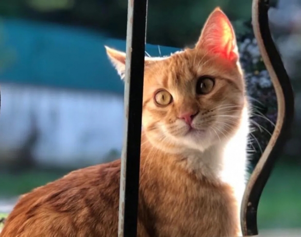 (사진=에스테르 아브라미/인스타그램)