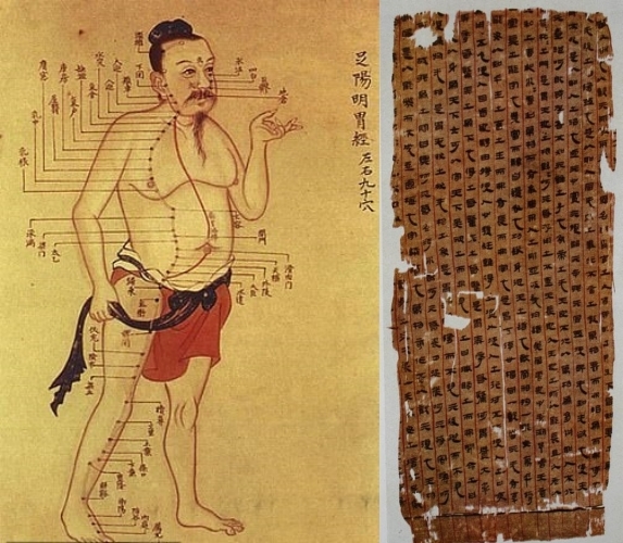 왼쪽은 자료사진, 오른쪽은 2200년 전 중국에서 만들어진 ‘해부학 문서’, 1973년 창사시에서 발굴된 지 약 30년 만에 해독됐다.