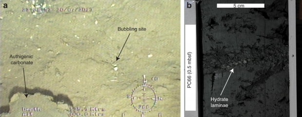 ROV 탐사에서 메탄가스의 누출이 기포 형태로 포착된 이미지.(사진=네이처 커뮤니케이션스)
