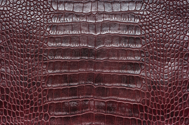 고가에 거래되는 악어가죽(사진=123rf.com)