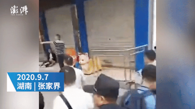 출처=펑파이신문