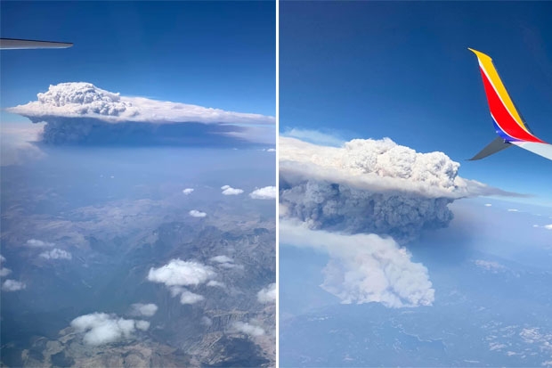 지난 5일 탈리아 도커리라는 이름의 여성은 코스타리카 산호세에서 네바다주 라스베이거스로 향하는 사우스웨스트항공 여객기에 몸을 실었다. 여객기가 캘리포니아 시에라 국유림 상공을 지나갈 무렵 그녀는 핵폭발에서나 볼 수 있는 버섯구름을 목격했다./사진=탈리아 도커리 트위터