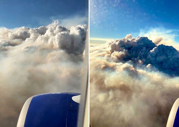 6(현지시간) 또 다른 승객 가브리엘라도 로스앤젤레스 국제공항 상공에서 거대한 산불 연기를 포착했다./사진=트위터