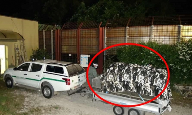 지난 4월 탈출했다 붙잡혀 우리에 가둬진 채 돌아온 큰곰(갈색곰) ‘M49’