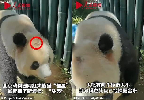 (사진=인민망/웨이보)