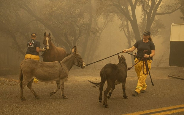 사진=EPA 연합뉴스