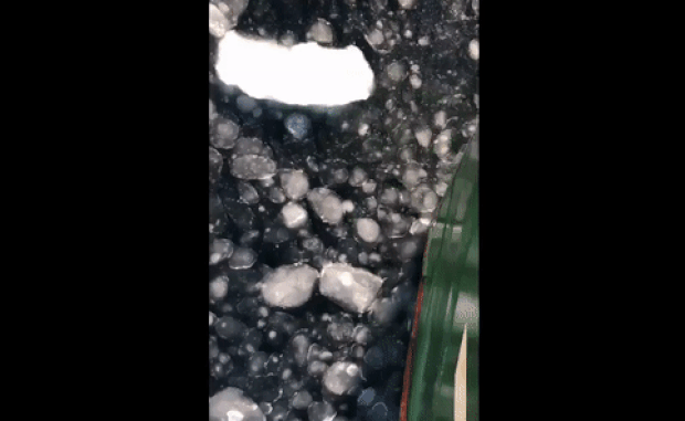 쇄빙선 ‘북극 일출’에 타고 있는 엑스터대학교 생물학자 커스틴 톰슨 박사는 “북극이 얼마나 빠르고 얼마나 심각한 변화를 맞이하고 있는지 인식해야 할 필요가 있다”고 지적했다./출처=커스틴 톰슨 트위터 