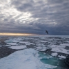 기후변화 심각…북극의 해빙 면적, 2012년 이후 가장 작아