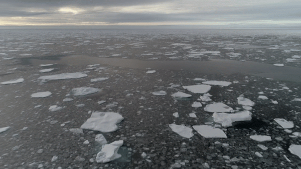 지난 9월 15일 그린피스가 촬영한 북극 해빙의 모습(사진=그린피스)
