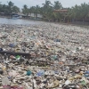 [여기는 남미] 아름다운 카리브해 악취 진동… ‘쓰레기 쓰나미’ 밀려와