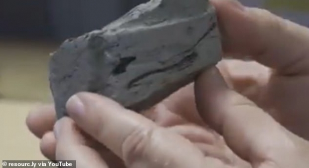 고대 식물의 흔적이 남아있는 퇴적물도 발견됐다. 여기에는 미세 꽃가루가 남아 있을 가능성이 큰데 고생물학자들은 이를 통해 운석공의 더욱더 정확한 형성 시기를 알아낼 수 있다.(사진=리소슬리/유튜브)