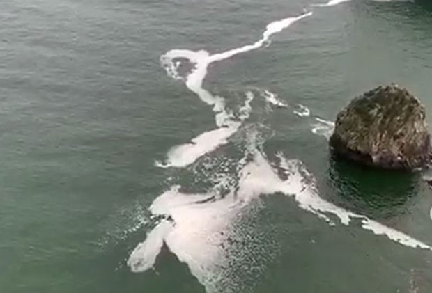 사진=인스타그램