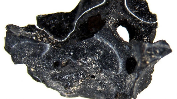 베수비오 화산폭발 희생자 머리서 발견된 유리질로 변한 ‘뇌 조각’