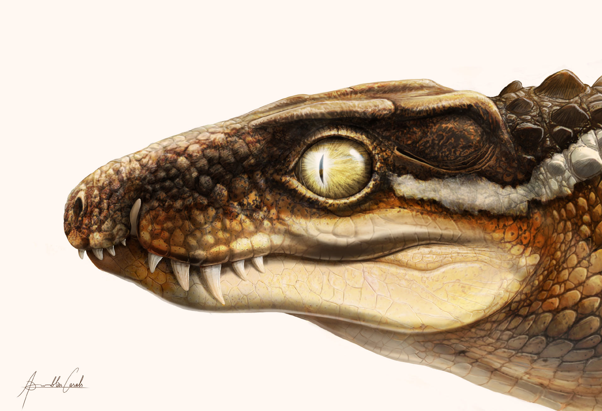 와우! 과학] 공룡 알·새끼를 먹이로 삼은 신종 고대 악어 발견