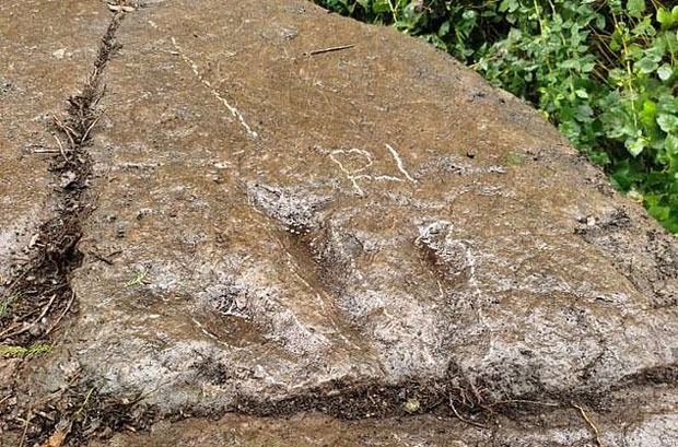 사진=싱리다 박사 웨이보