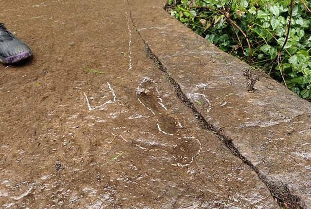 사진=싱리다 박사 웨이보