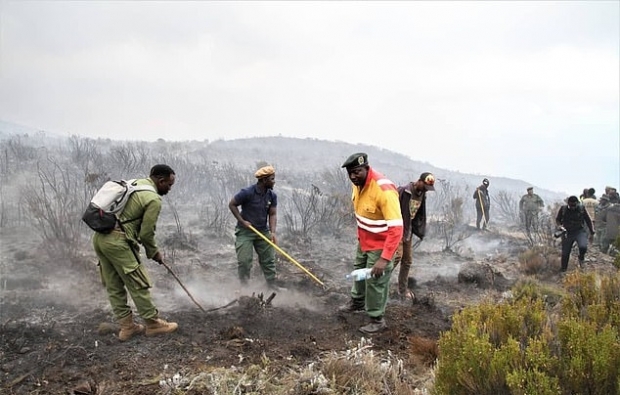 킬리만자로산 산불 진화에 동원된 사람들