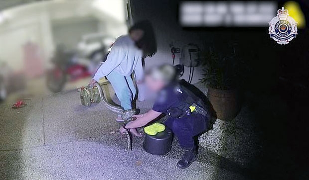 출처=퀸즐랜드주경찰국
