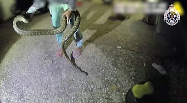 출처=퀸즐랜드주경찰국