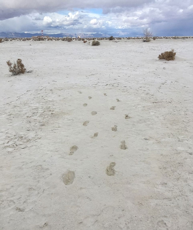 사진=본머스대학교