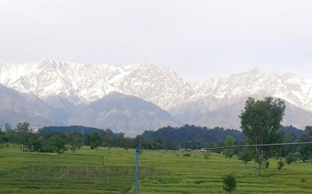 코로나19 팬데믹이 정점에 이르렀던 지난 5월, 펀자브 주 잘란다르 지역의 주민들은 40년 만에 미세먼지와 매연이 걷힌 히말라야를 맨 눈으로 볼 수 있었다.