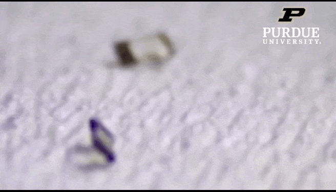 백플랩하는 마이크로 로봇