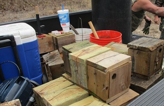 사진=플로리다 어류 및 야생동물 보호위원회(FWC)