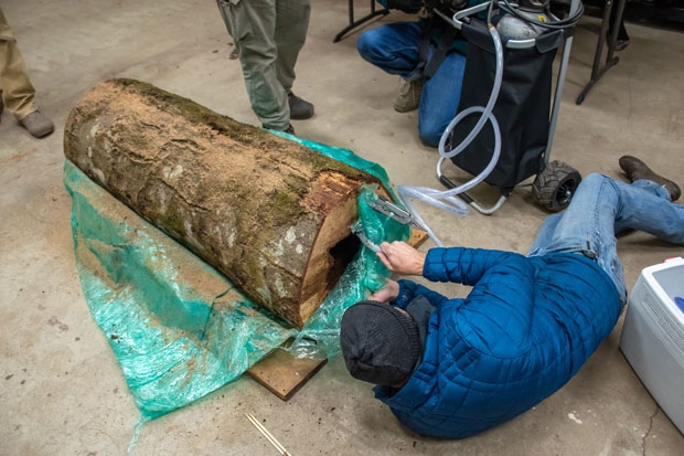 사진=워싱턴주 농업부