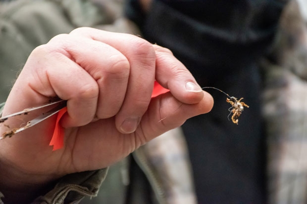 사진=워싱턴주 농업부