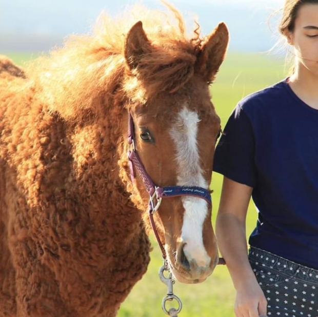 (사진=인스타그램)