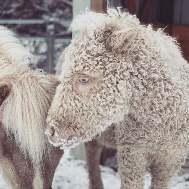 (사진=인스타그램)