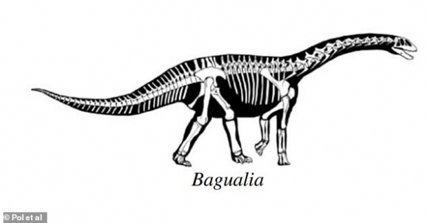 바괄리아 알바의 전체 골격 구조(사진=디에고 폴/영국왕립학회보 B)