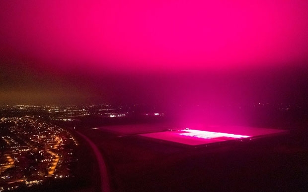 스웨덴 최대 토마토 재배 단지가 있는 스코네주 기슬뢰아비아스는 최근 LED 조명을 이용한 에너지 고효율 온실 조명시스템을 도입했다.